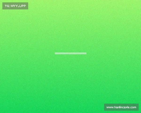 加蒂称布雷默回归为顶级引援并希望弗拉霍维奇留队成为核心