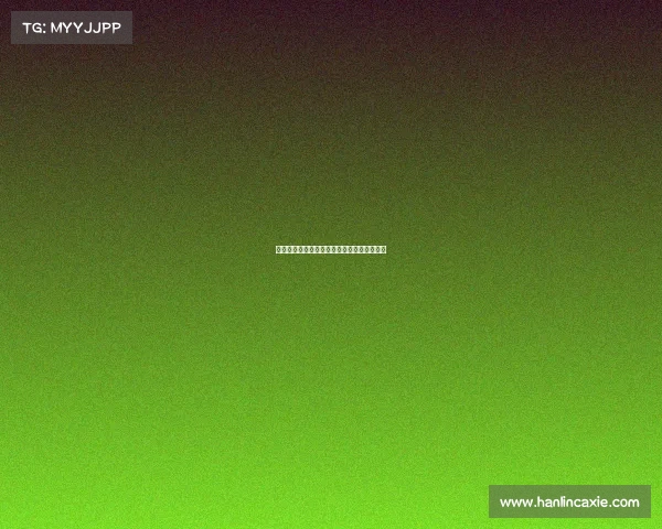 法甲球队中的非洲杯明星球员解析与表现分析